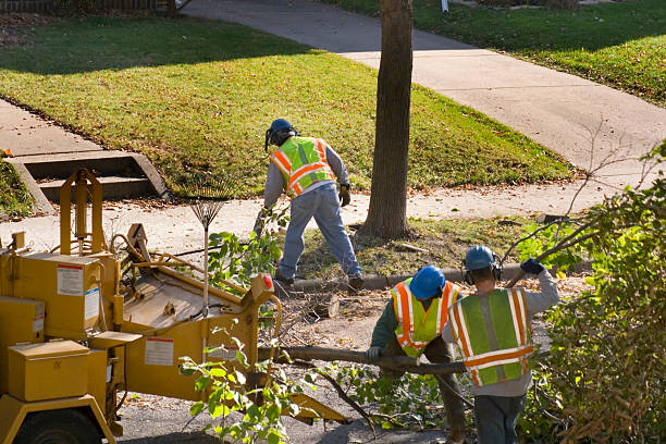 Best Landscape Design and Installation  in San Bernardino, CA